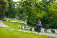 cadwell-no-limits-trackday;cadwell-park;cadwell-park-photographs;cadwell-trackday-photographs;enduro-digital-images;event-digital-images;eventdigitalimages;no-limits-trackdays;peter-wileman-photography;racing-digital-images;trackday-digital-images;trackday-photos